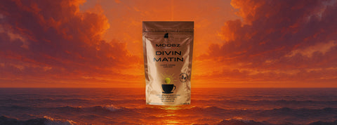 Café adaptogène : le guide complet pour tout comprendre avant de l’adopter