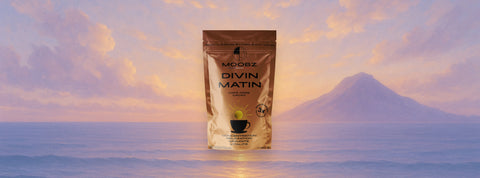 Ashwagandha : précautions, contre-indications