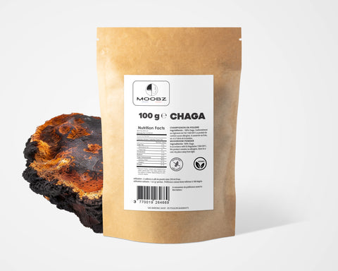 Chaga – Extrait Poudre