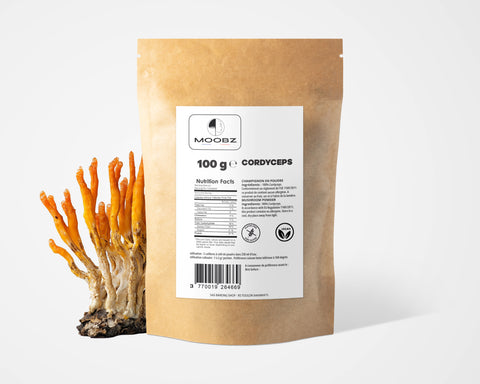 Cordyceps – Extrait Poudre