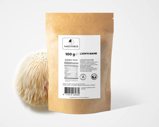 Lion’s Mane – Extrait Poudre 🧠